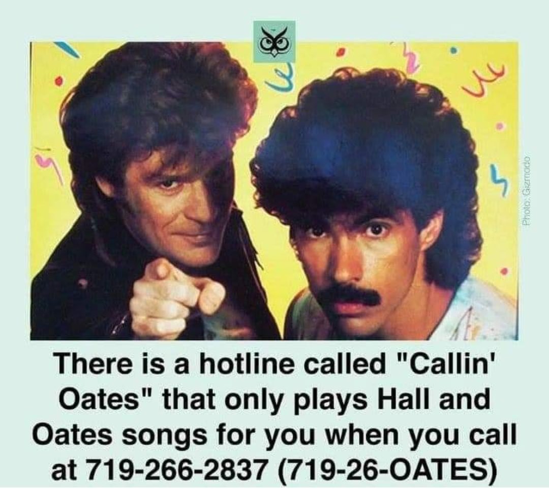 CripesSuzette's tweet photo. NO CAN DO. Sorry no tweets today. I’m busy callin’ Oates. #HallandOatesForever https://t.co/MgTyEYsEjv