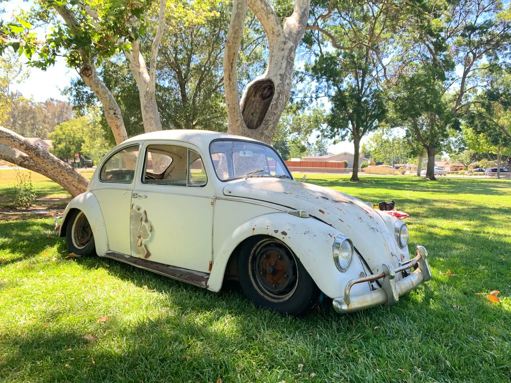JBugsVWParts's tweet photo. Can you believe February is over already?!
What's next, March? 😱
Even though this has been a short month, it sure feels like it's been packed!
We guess any #VWOwner knows great things come in small packages 🐞
Thanks to Dylan for sending in their #67Beetle!
📷 - Dylan C. https://t.co/R1VEIkY1qM