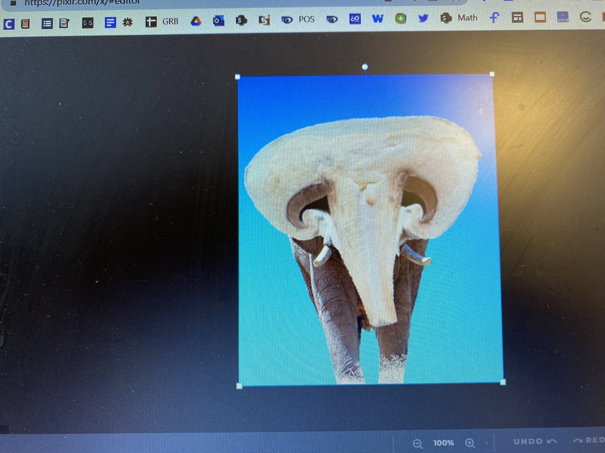 Jen Perry tweet media