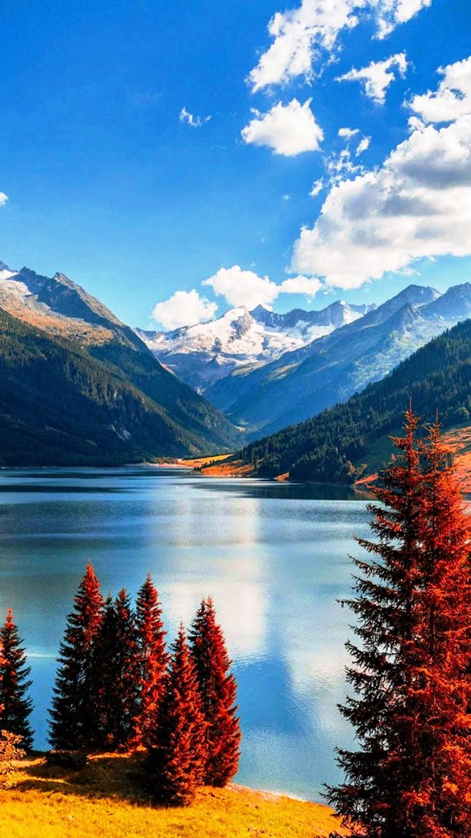 Tina Koskima 🕊️ (@lovesongs4peace) on Twitter photo 