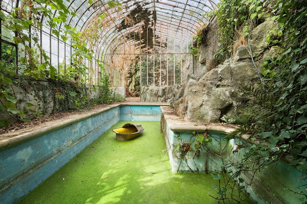 #NFTLiverpool
#photography

opensea.io/assets/0x495f9…