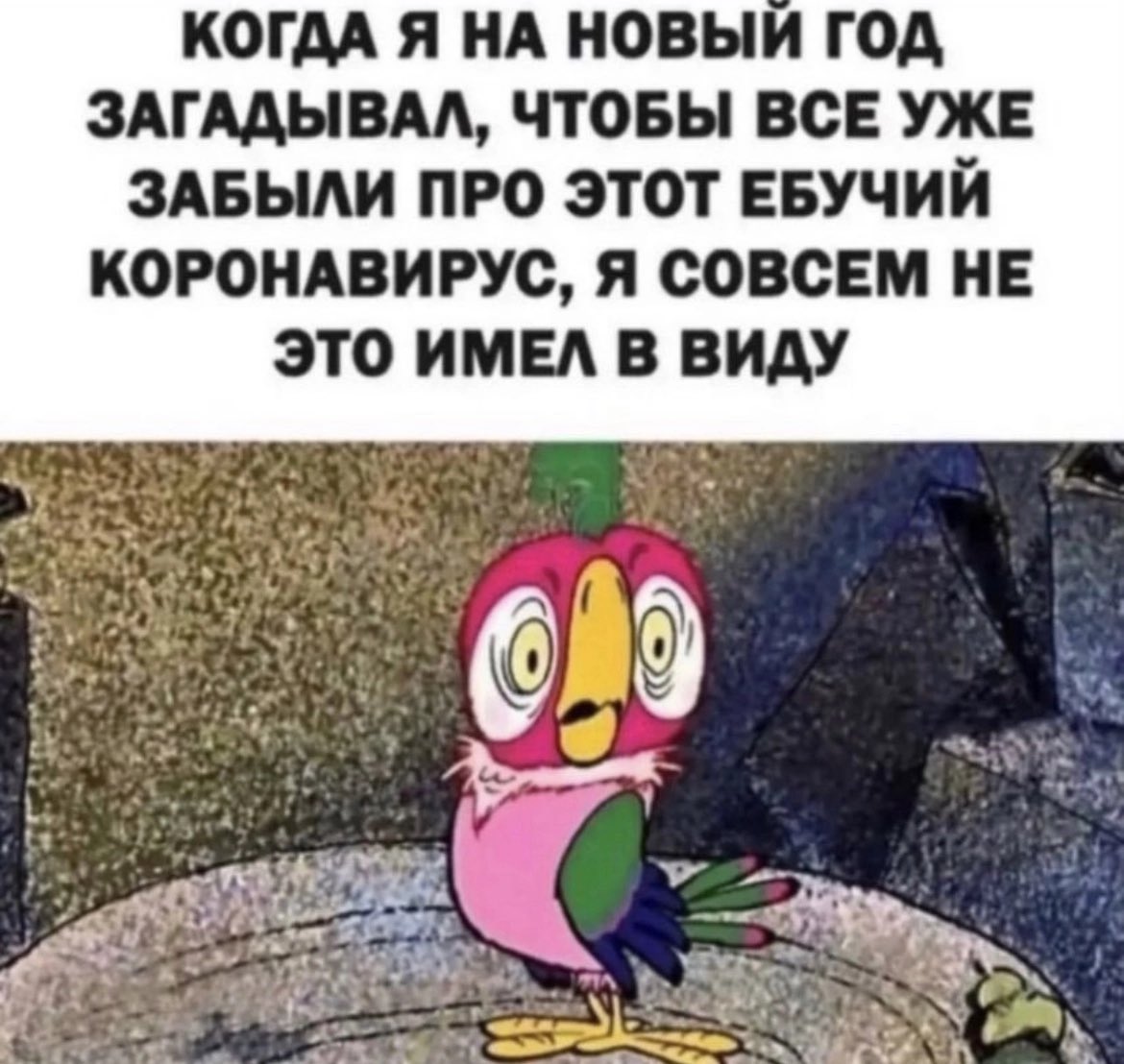 OOO_ABars's tweet photo. 🤨 https://t.co/O7ykij1sBp