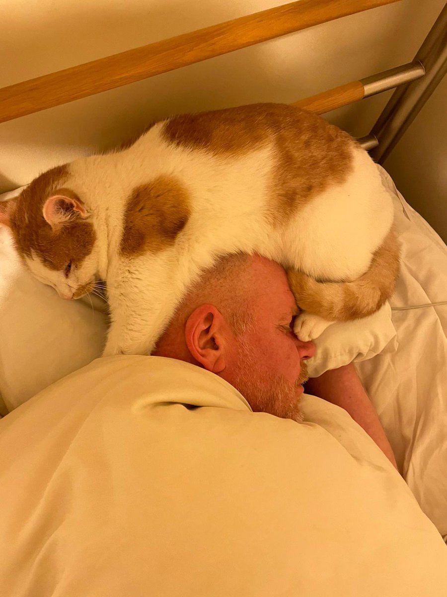 MichaelJohnCh11's tweet photo. Hereโs a photo taken by my girlfriend at 6am.
#catthing https://t.co/rCGrsCVBHE