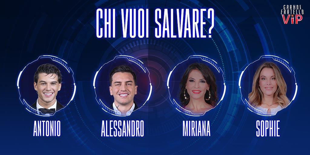 GrandeFratello's tweet photo. Il televoto flash è ufficialmente aperto: scegli chi vuoi salvare tra Antonio, Alessandro, Miriana e Sophie. #GFVIP https://t.co/kFajGTvWVJ