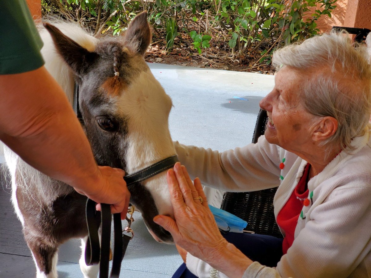 🐴❤️ Our Port St. Lucie residents spent some quality time with Healing Hooves Psychotherapy. It was a great way for our residents to relax and bond with some beautiful animals! #WickshireWay #SeniorLiving