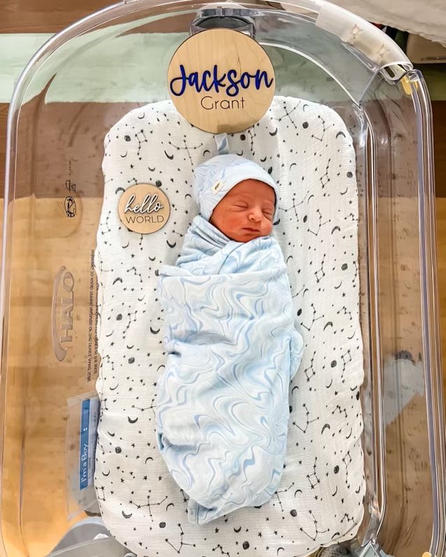 Stephen Miller tweet media