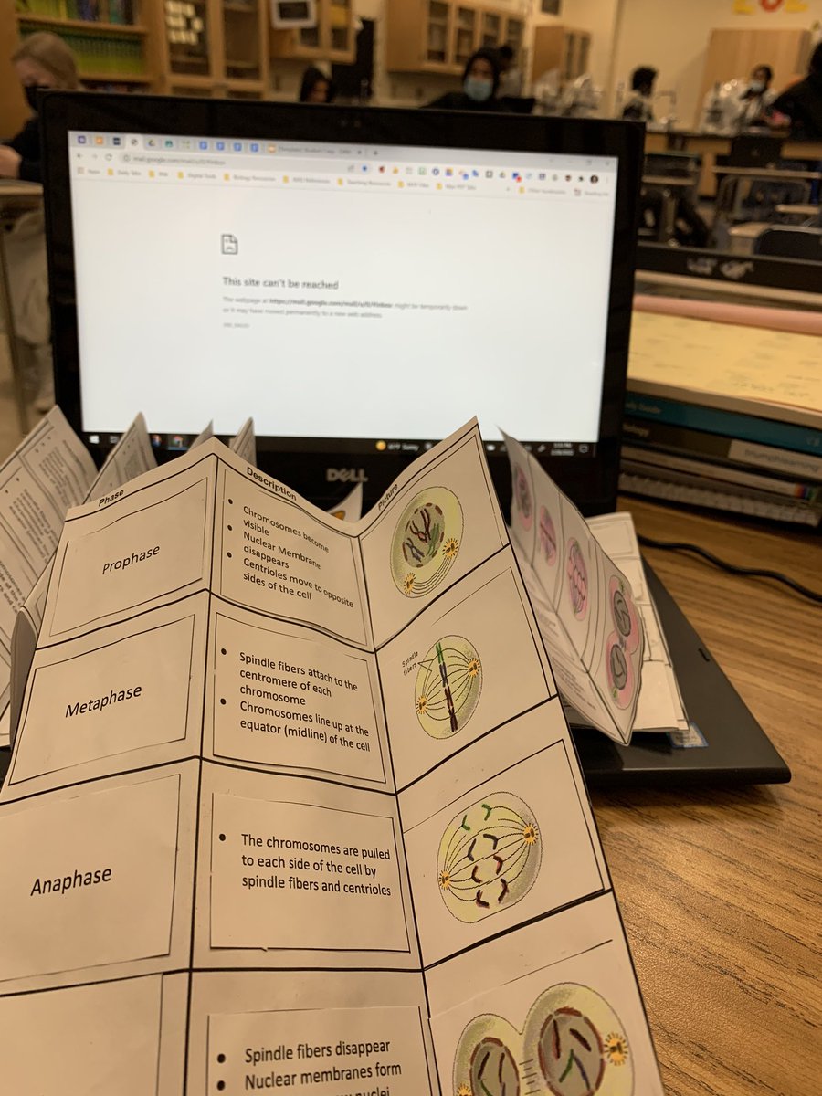 Mylene Gannaban tweet media