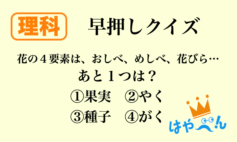 はやべん 小中高生向けの早押しクイズ学習アプリ V Twitter 中学受験生必見 混乱しやすい植物の分野です 夜は 関連知識をツイートします 中学受験 勉強 学習アプリ 暗記 国語 理科 社会 T Co Ihb61qcpns Twitter