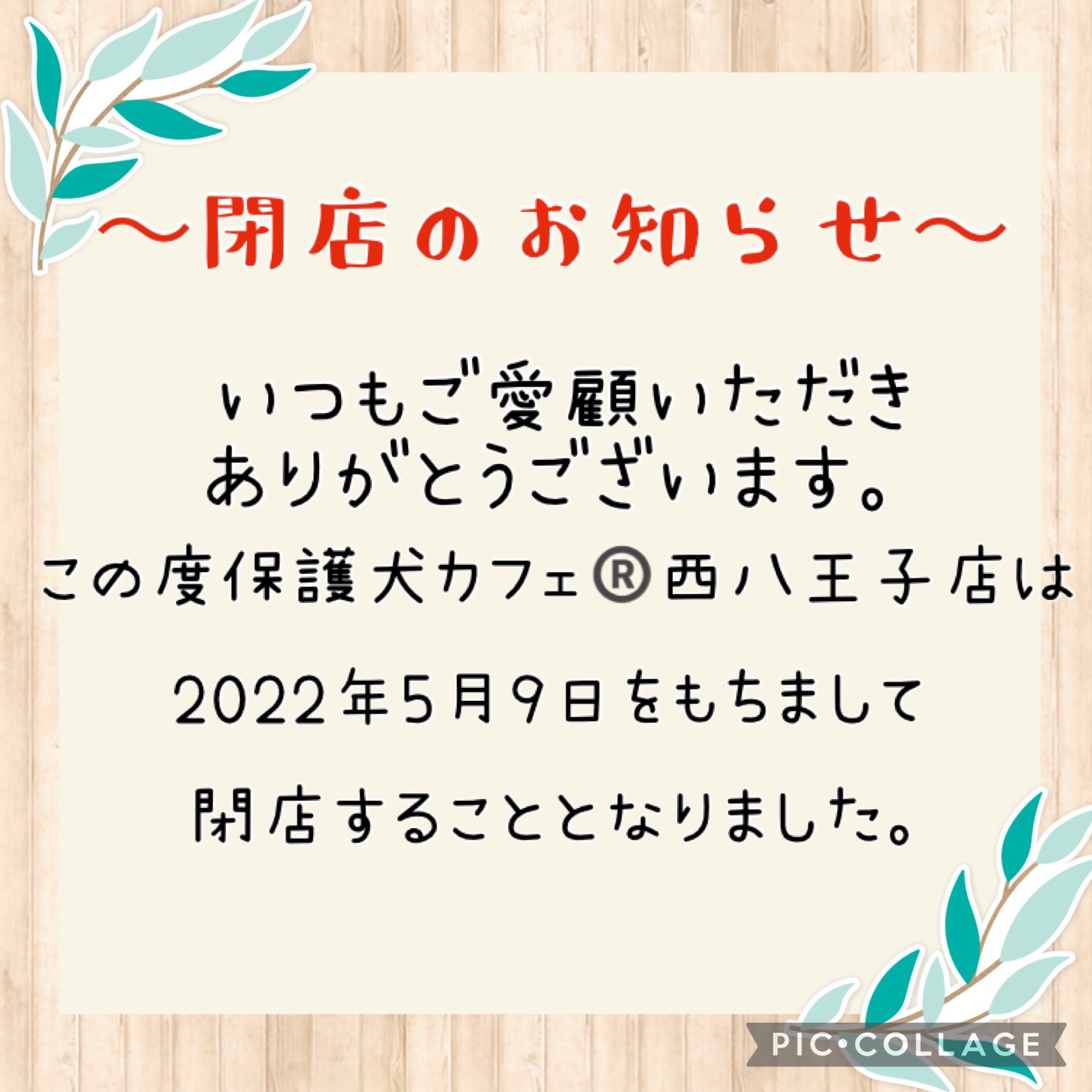 保護犬カフェ 西八王子店 Hogo Cafe8ouji Twitter