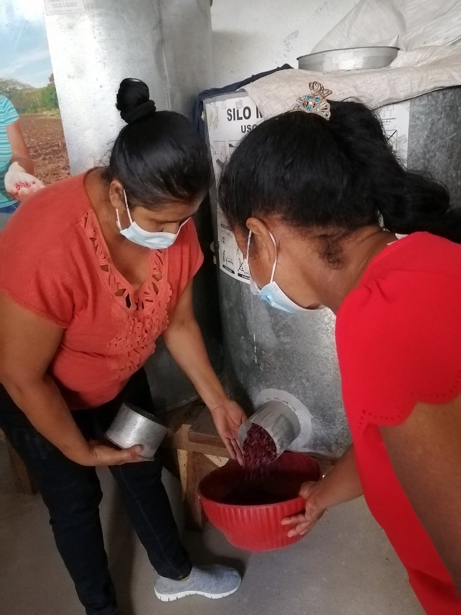 FAONicaragua's tweet photo. ➡️ En visita seguimiento proyecto RELEVA mujeres lideresas del Corredor Seco 🇳🇮 comparten experiencias de empoderamiento económico, fortalecimiento de capacidades y muestran reservorios de semillas para garantizar su soberanía y seguridad alimentaria
@EmbCanCRHNNI @FAONicaragua https://t.co/0f25s8PfEa