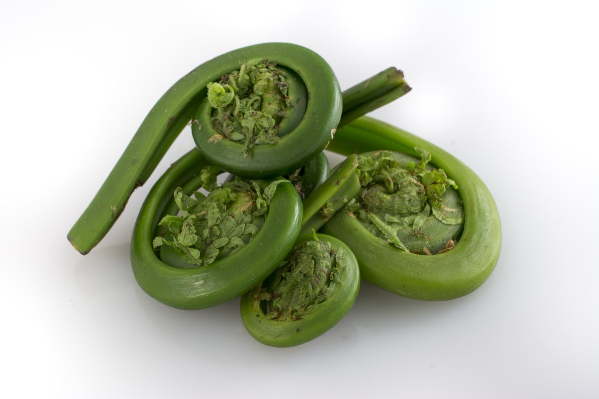 Let's Eat (@foodyearround) on Twitter photo Let's check out some #Top4Curly foods (but no fries) for this week's #Top4Theme!
π₯ to <a href="/Giselleinmotion/">Giselle</a> <a href="/CharlesMcCool/">Charles McCool βοΈ</a> <a href="/Touchse/">MiaNX</a> <a href="/perthtravelers/">Perthtravelers (Wendy)</a>
π Smoked salmon eggs benedict
π Indian sweets
π Italian pasta
π Fiddlehead ferns (Photo from <a href="/Wikipedia/">Wikipedia</a>) Let's check out some #Top4Curly foods (but no fries) for this week's #Top4Theme!
π₯ to <a href="/Giselleinmotion/">Giselle</a> <a href="/CharlesMcCool/">Charles McCool βοΈ</a> <a href="/Touchse/">MiaNX</a> <a href="/perthtravelers/">Perthtravelers (Wendy)</a>
π Smoked salmon eggs benedict
π Indian sweets
π Italian pasta
π Fiddlehead ferns (Photo from <a href="/Wikipedia/">Wikipedia</a>)