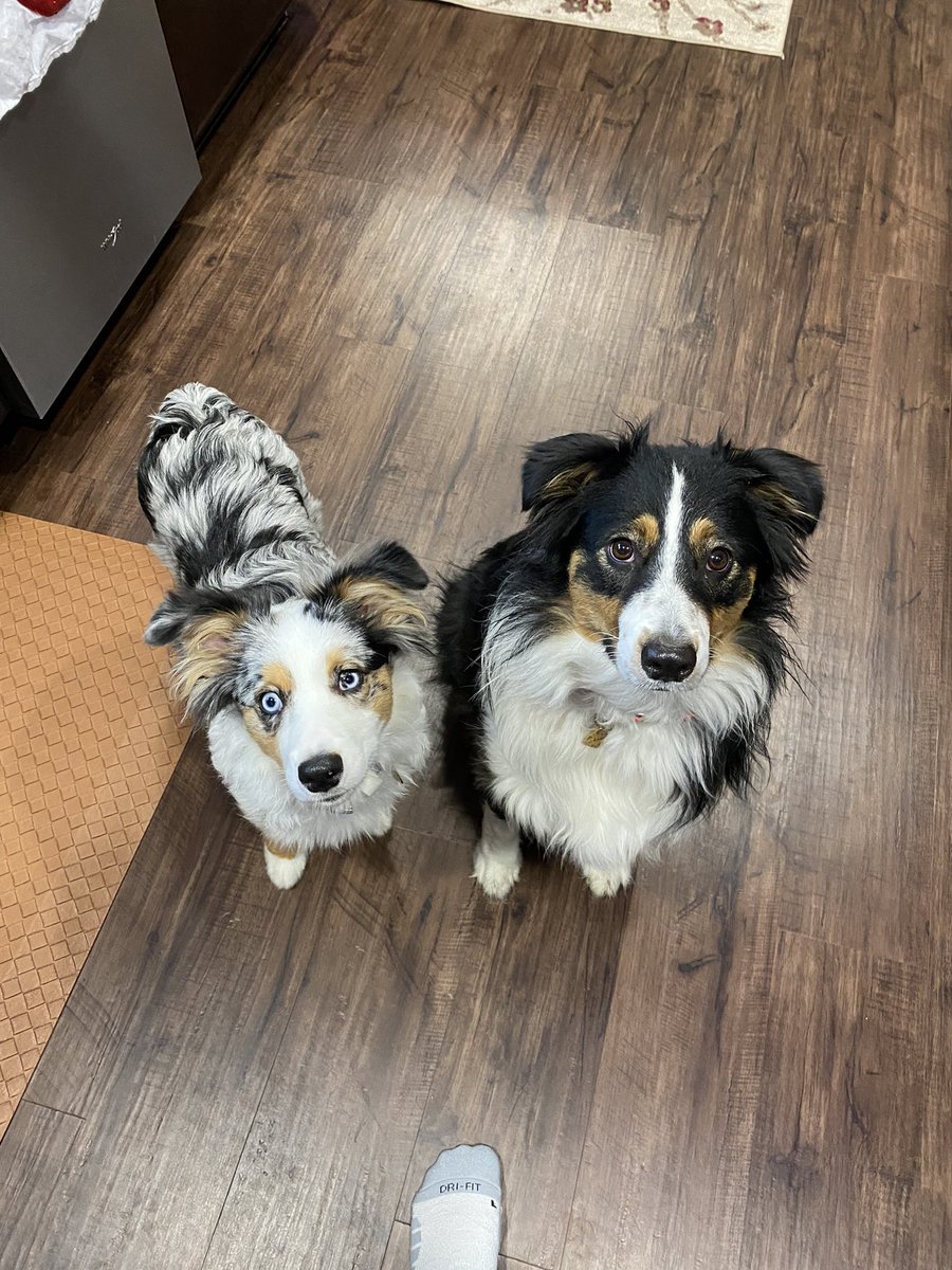 What do you think I have that they want? 🧀