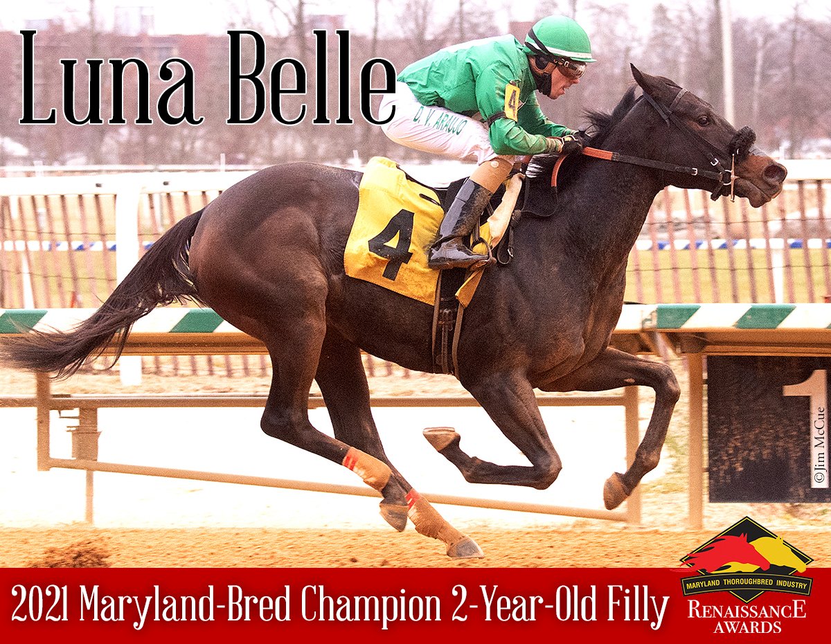 CONGRATULATIONS to our...🌟 2021 #MDBred Champ 2YO Male: JOE! B/O by Stuart Grant's The Elkstone Group; trained by @trombetta_mike. 🌟 2021 #MDBred Champ 2YO Filly: LUNA BELLE! Bred by Fred A. Greene Jr., Deborah Greene & Hamilton Smith; owned by Deborah Greene & Smith (trainer)