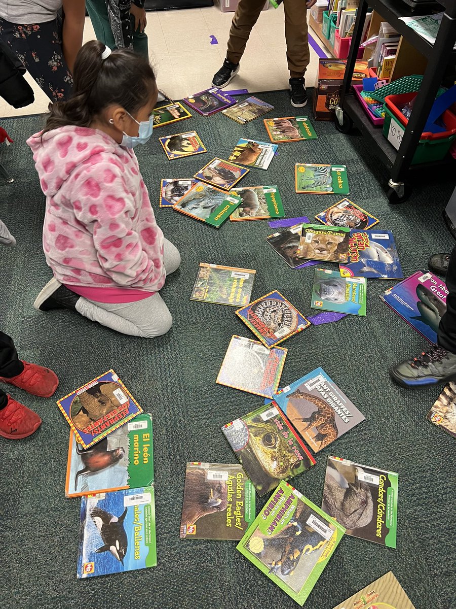 TES_Casas's tweet photo. We’re researching about animals this week. @TES_Roderick thank you for being the best and providing us with wonderful books. #tesleads #EdCadual https://t.co/97gbqFPUV5