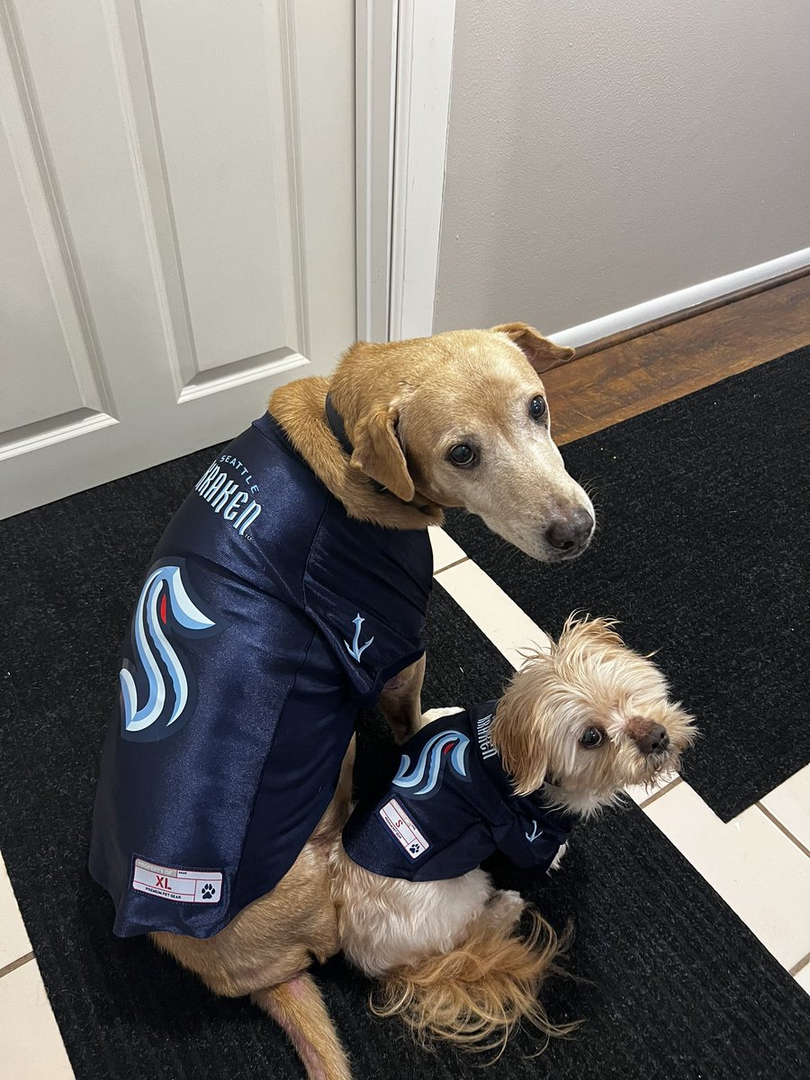 alexowitz's tweet photo. @SeattleKraken pups are ready for the next game! 🏒🦑 https://t.co/FusRoOpIq0