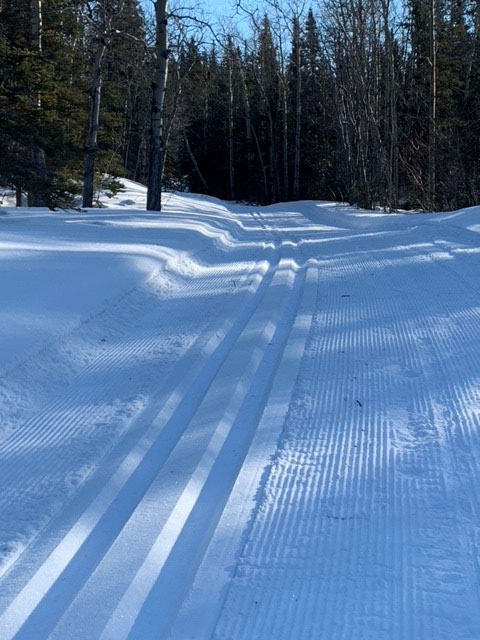 Kluane ski update!
❄️ Fresh-set tracks today on the Kathleen Lake ski trails
❄️ The Auriol Trail was packed and groomed again this weekend (not track-set)
Enjoy! 🌞