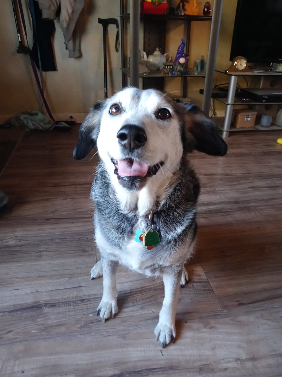 K, Lily & Jasper🌈 & Daphne🌈 tweet media