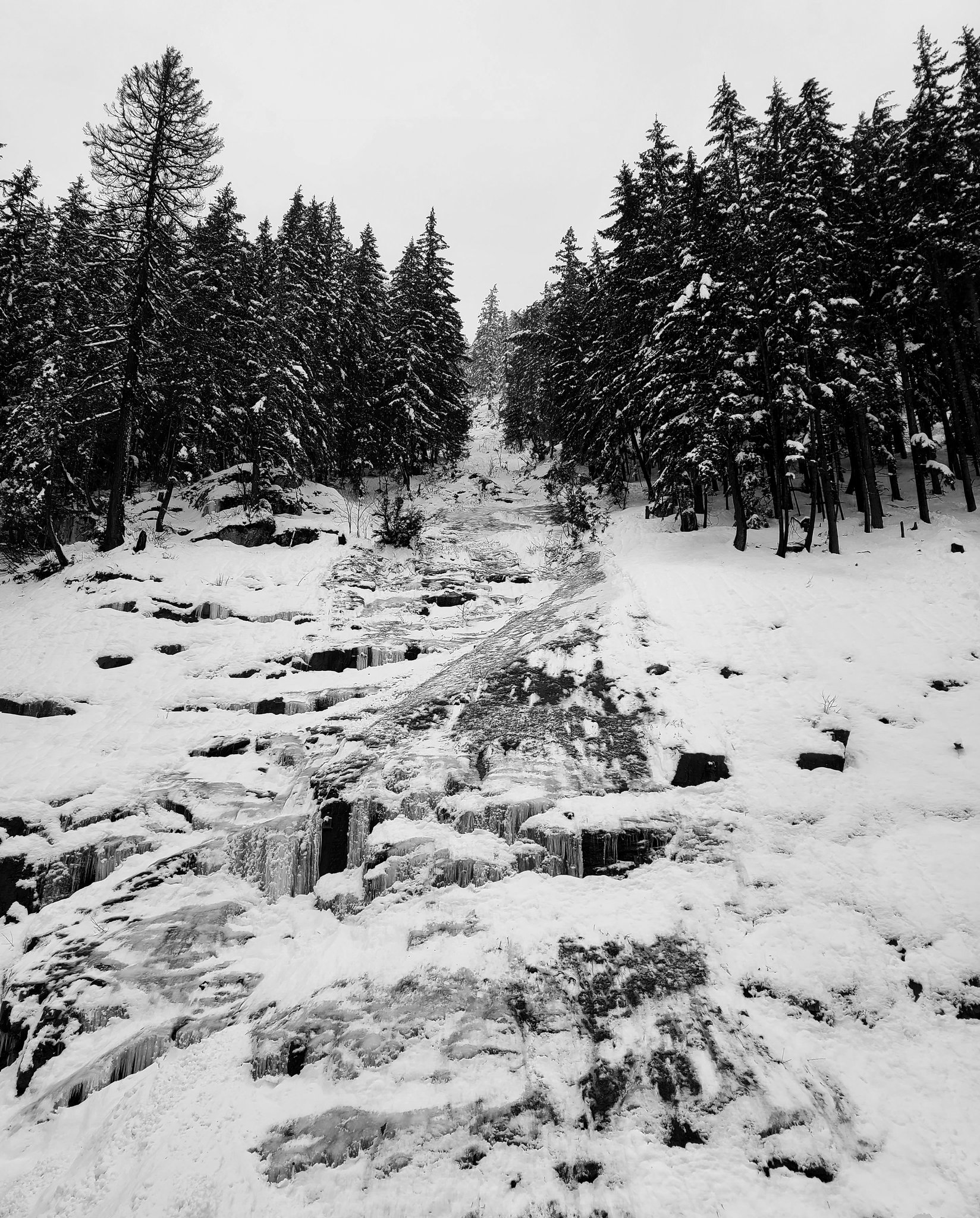 Snoqualmie Pass on Twitter "I90 is open in both directions. Traction