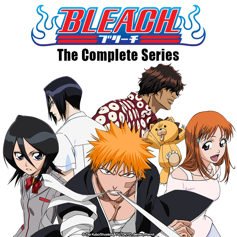 The Last Episode of BLEACH - Episode 366 