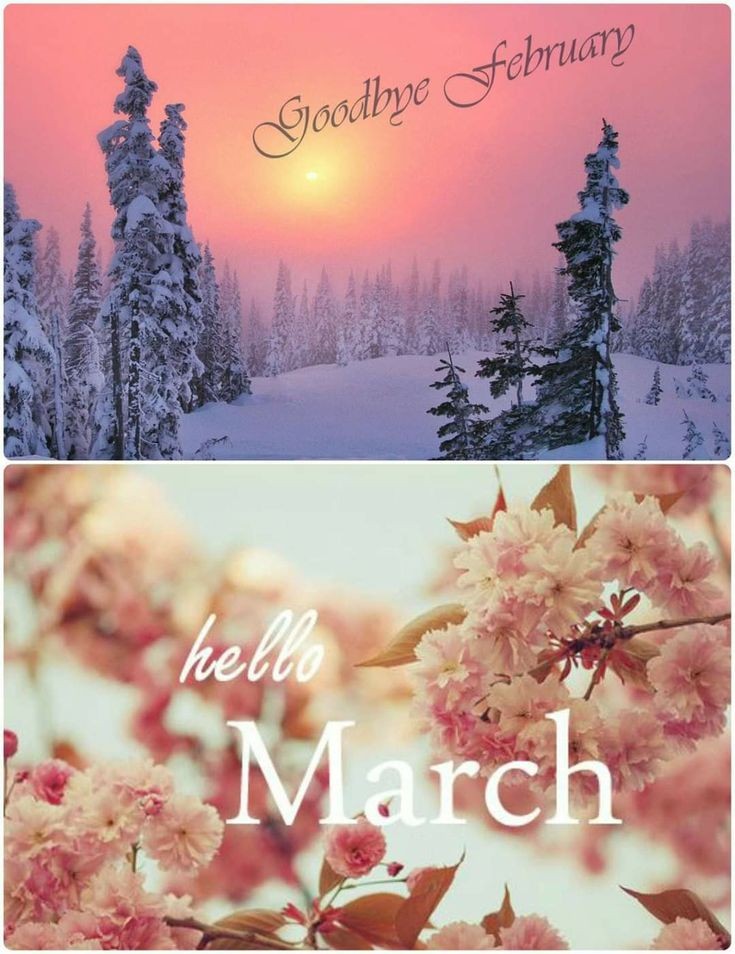 Pictures march. Привет март. Привет февраль. Hello февраль. Хелло март.