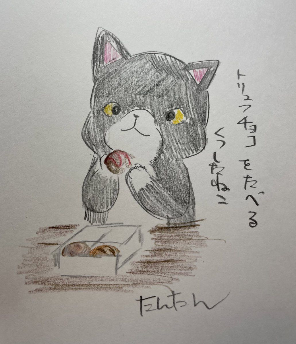 トリュフチョコを食べるくつしたねこ

#イラスト #猫 