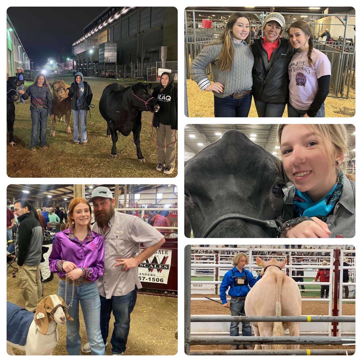Congratulations to everyone who showed at San Antonio this year! We are so proud of all of you and know y’all have put in a lot of work with y’alls animals.@MISDCareerTech @Tommaney_MHS <a href="/mhs_bears/">Montgomery High School</a> <a href="/MHSPTOBears/">MHS PTO</a> @Schur_MHS
