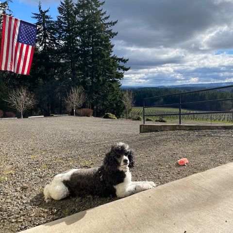 We're Reopening This Weekend! - mailchi.mp/f4316da0c62b/m…