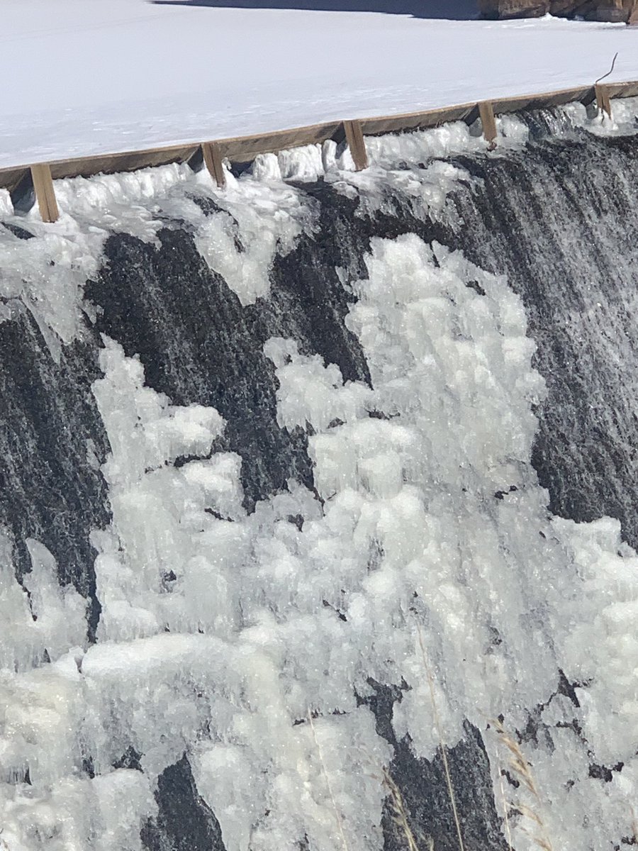 lynhicks's tweet photo. Water is the crystalline element and elixir to all life! Is your water supporting your healthy lifestyle? I can help!💦#health #elixir #waterislife #waterhealth #betterbody #hydrate #beauty #flow https://t.co/yLZfP7qMqc
