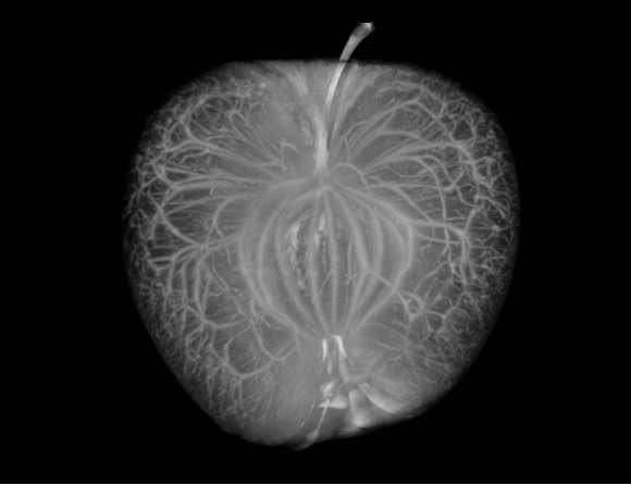 Micro Photonics Inc tweet media