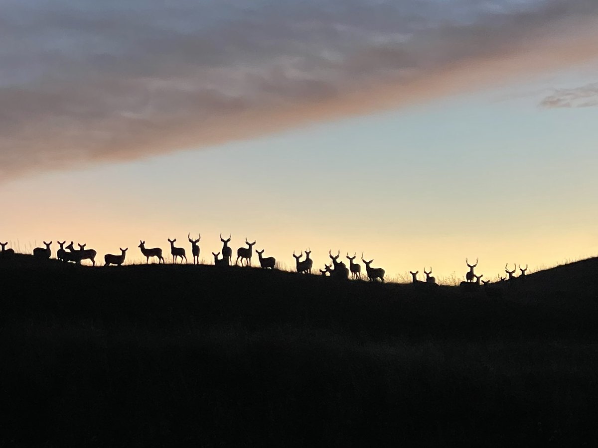 I spy a flat tractor tire…or two
