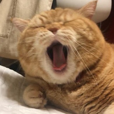 ANGELIC VOICE JUNGSU
#Jungsu #정수 #엑스디너리히어로즈 <a href="/XH_official/">Xdinary Heroes</a>