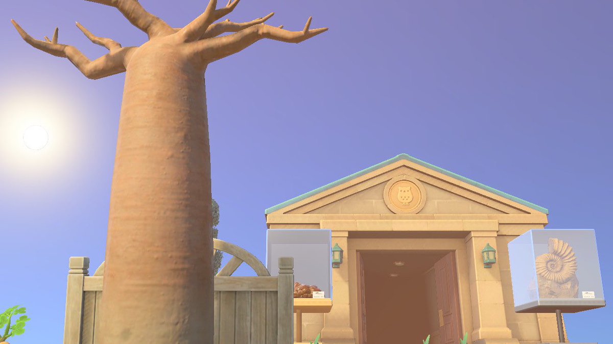 ACNH_Shankara's tweet photo. Nouvelle entrée+ début du coin musée de Shankara☺️🌴
#ACNH #AnimalCrossingNewHorizions https://t.co/8I5ijXTEvv