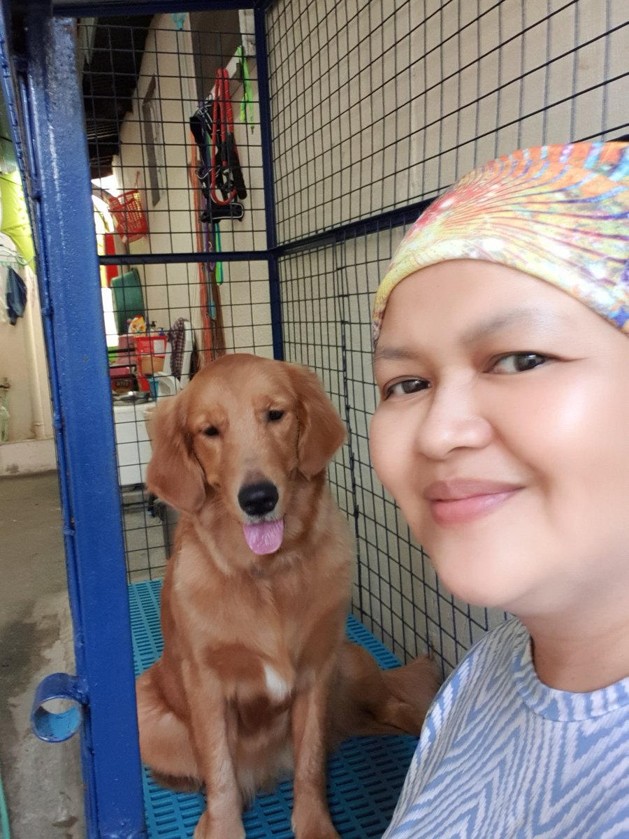 Cathcasaul19's tweet photo. Meet my new buddy🥰 NUGGETS @9months #GoldenRetrievers https://t.co/M2IGrFeRdK