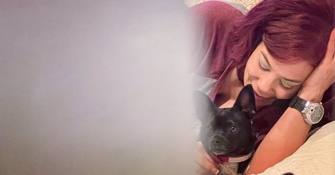 🐕❤️🐶❤️🐕 Post new pics of your pets below ❤️ I want to see all the cuties https://t.co/CWL1nYqzPP