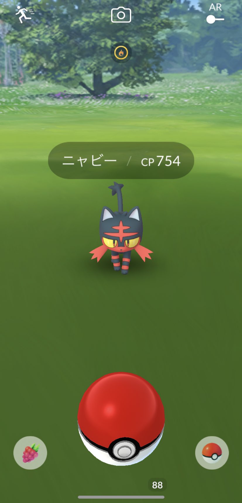 はっしー 初アローラはニャビーでした ポケモンgo T Co Nxw7itkhkd Twitter