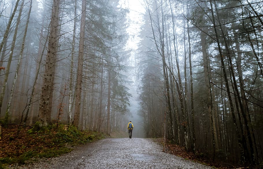 Life is essentially a single player game.

You do form alliances along the way, but eventually it's just you. 

You might as well own it then. And make it your own. And walk your own path.