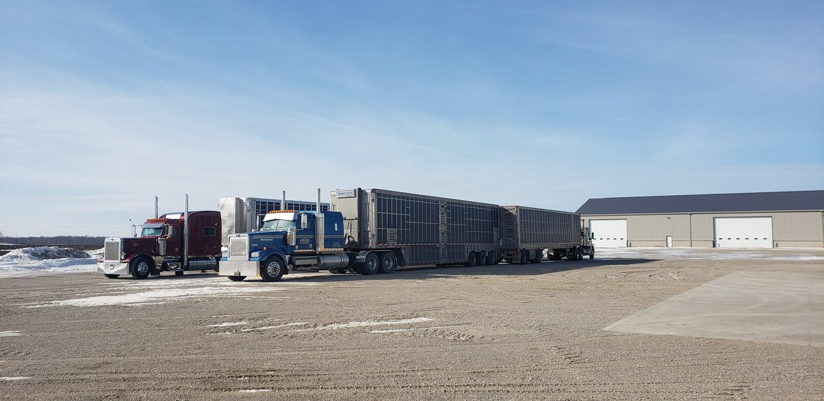 Westland Hogco Inc tweet media