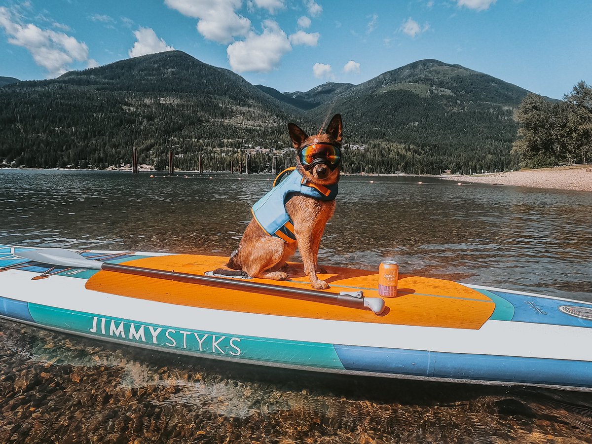 Juni & Alyssa tweet media