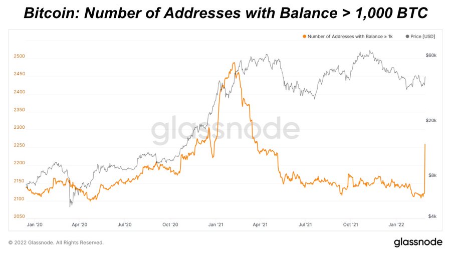 dpLearnsBTC's tweet photo. Don't believe the crypto FUD about a few people having all the #BTC #BTCWallets with less than 1k BTC is hockey sticking #change is coming #Bitcoin #bitcoinprice @bitcoinprivate #BTCUSDT #BTC #BTCFlower #btcforukraine https://t.co/DoTFMZmCTN
