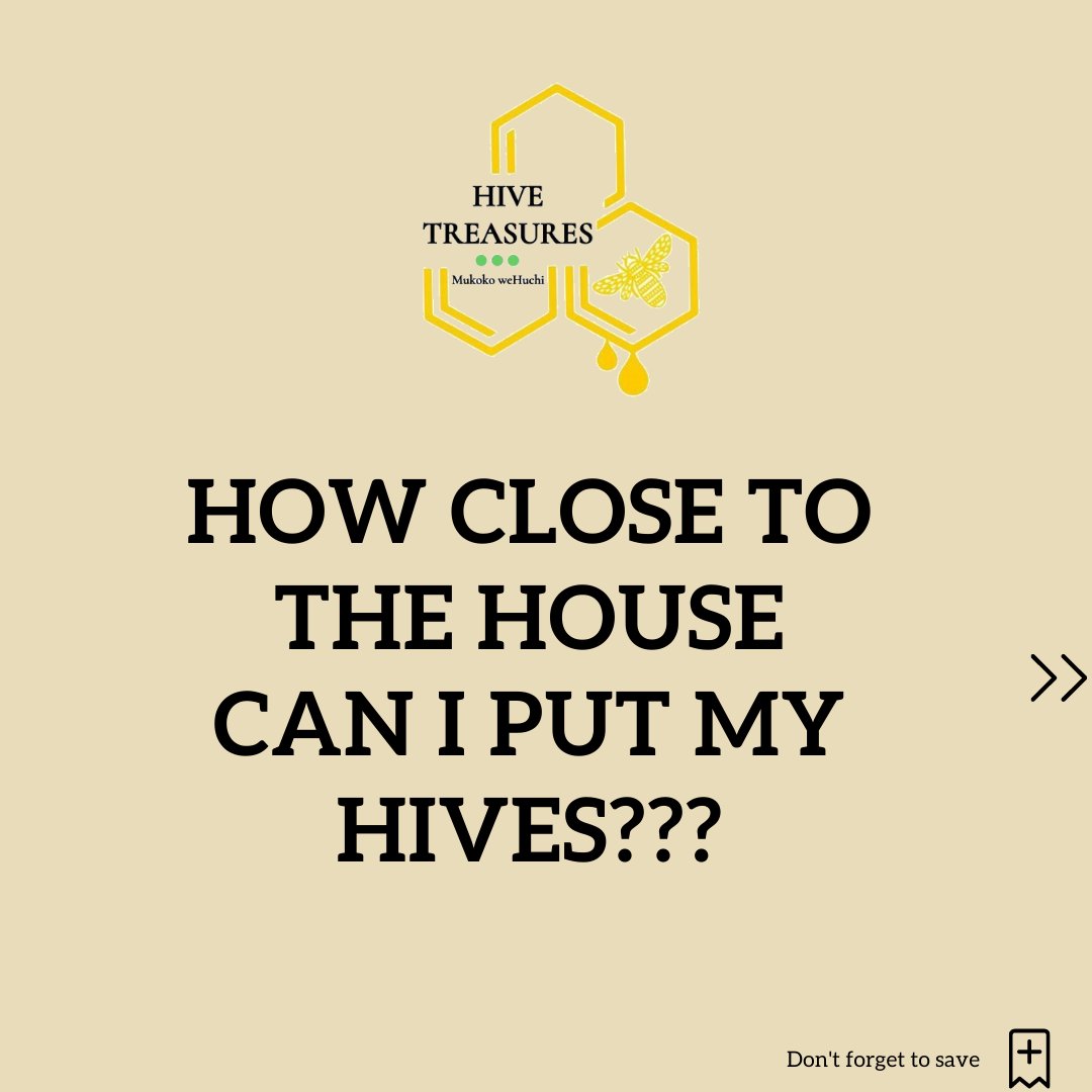 hivetreasures's tweet photo. A frequently asked question we get during site visits is: How Close To The House Can I Put My Hives???

Here's a thread to help!
@terrymatiza
@Lydiaines8 
@cornishbros 
@temezjr
@agricnexus
@MaxNMoyo1 
@decepticon_2000 https://t.co/U8CfgaYscH
