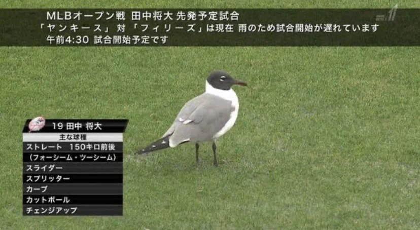 @tktktk__giants マー君とオオタニサンもいますよ！ 