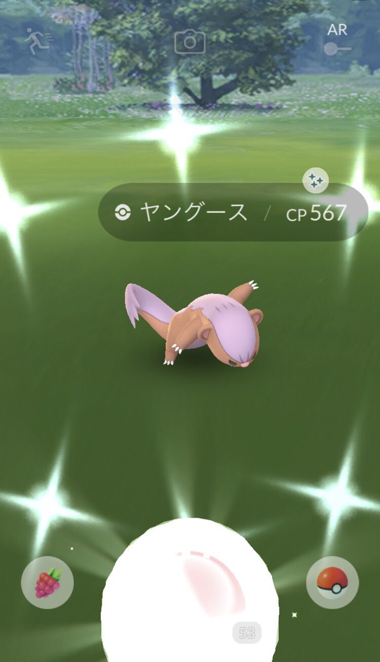 ヒロキ Murayan0125 ヤングース色違いおめでとうございます Twitter