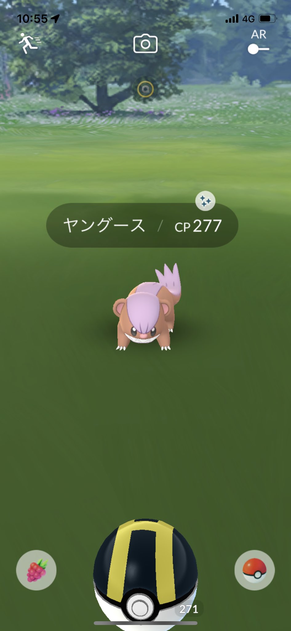 Nikiii 実装してすぐに色違い ヤングースかわいい 笑 この調子で頑張ります ポケモンgo T Co Uy7vtoh4ep Twitter