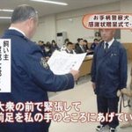 大衆の前でド緊張!？可愛すぎる警察犬!
