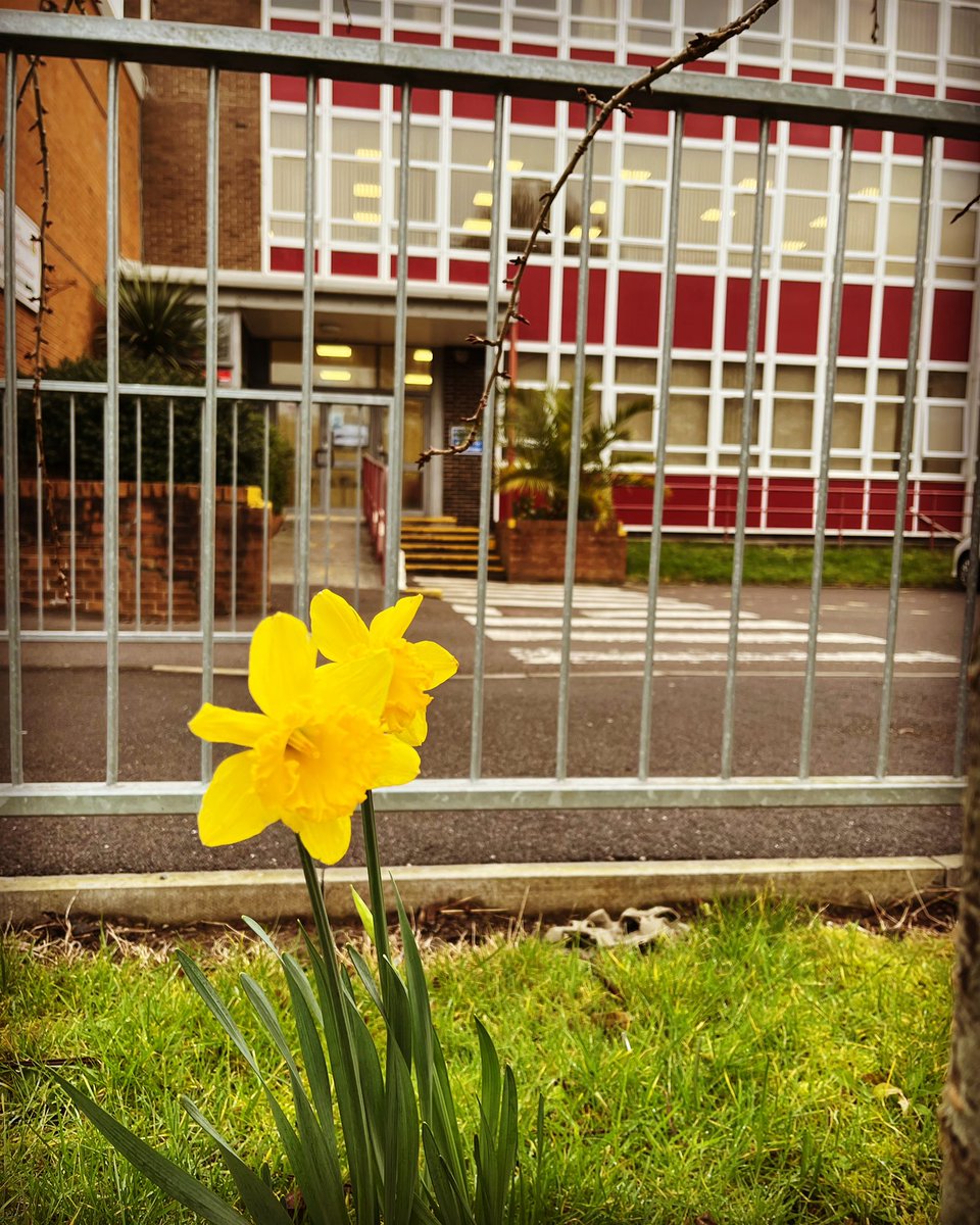 FitzalanHigh's tweet photo. 🏴󠁧󠁢󠁷󠁬󠁳󠁿 Dydd Gŵyl Dewi Hapus | Happy St David’s Day 🏴󠁧󠁢󠁷󠁬󠁳󠁿 https://t.co/9pl6hDmW7i