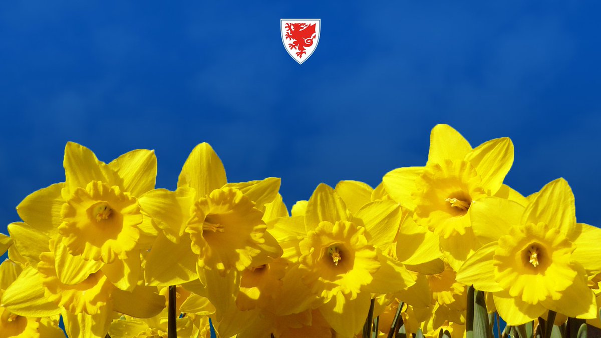 Gwnewch y pethau bychain. 
Do the small things. 

Show love, support and be proud of who you are and where you’re from. 

Dydd Gŵyl Dewi Hapus!
Happy St David’s Day!

#DyddGŵylDewi
#StDavidsDay 
#TogetherStronger