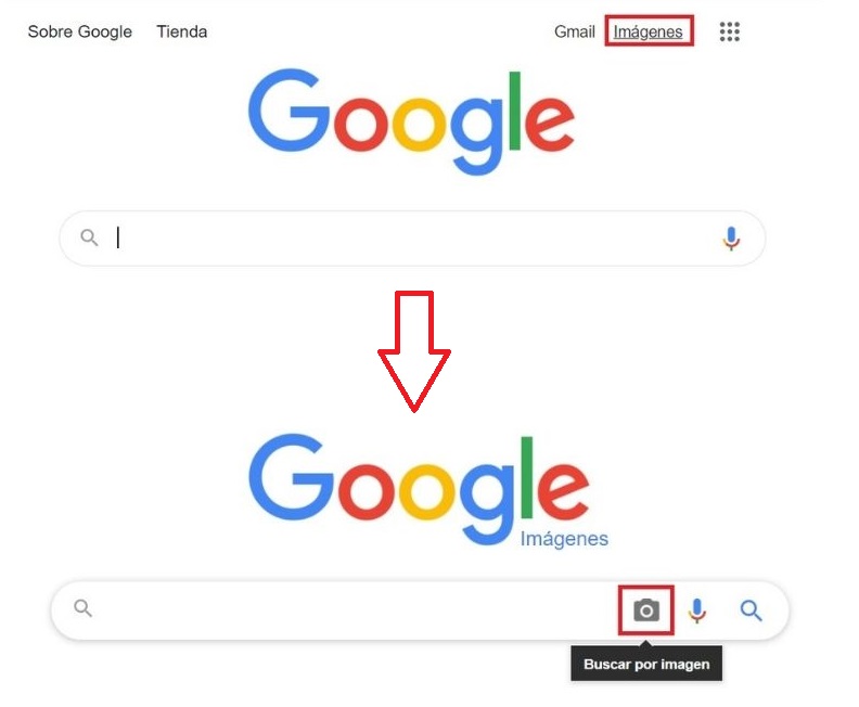 MalditaEduca's tweet photo. 🔍  La búsqueda inversa sirve para saber si una foto o vídeo ya se han publicado antes o si corresponden a otro lugar. Puedes hacerla con Google Imágenes: pincha en el icono de la 📷  y sube la foto de la que sospeches 🧐 https://t.co/DkOyY0uotf