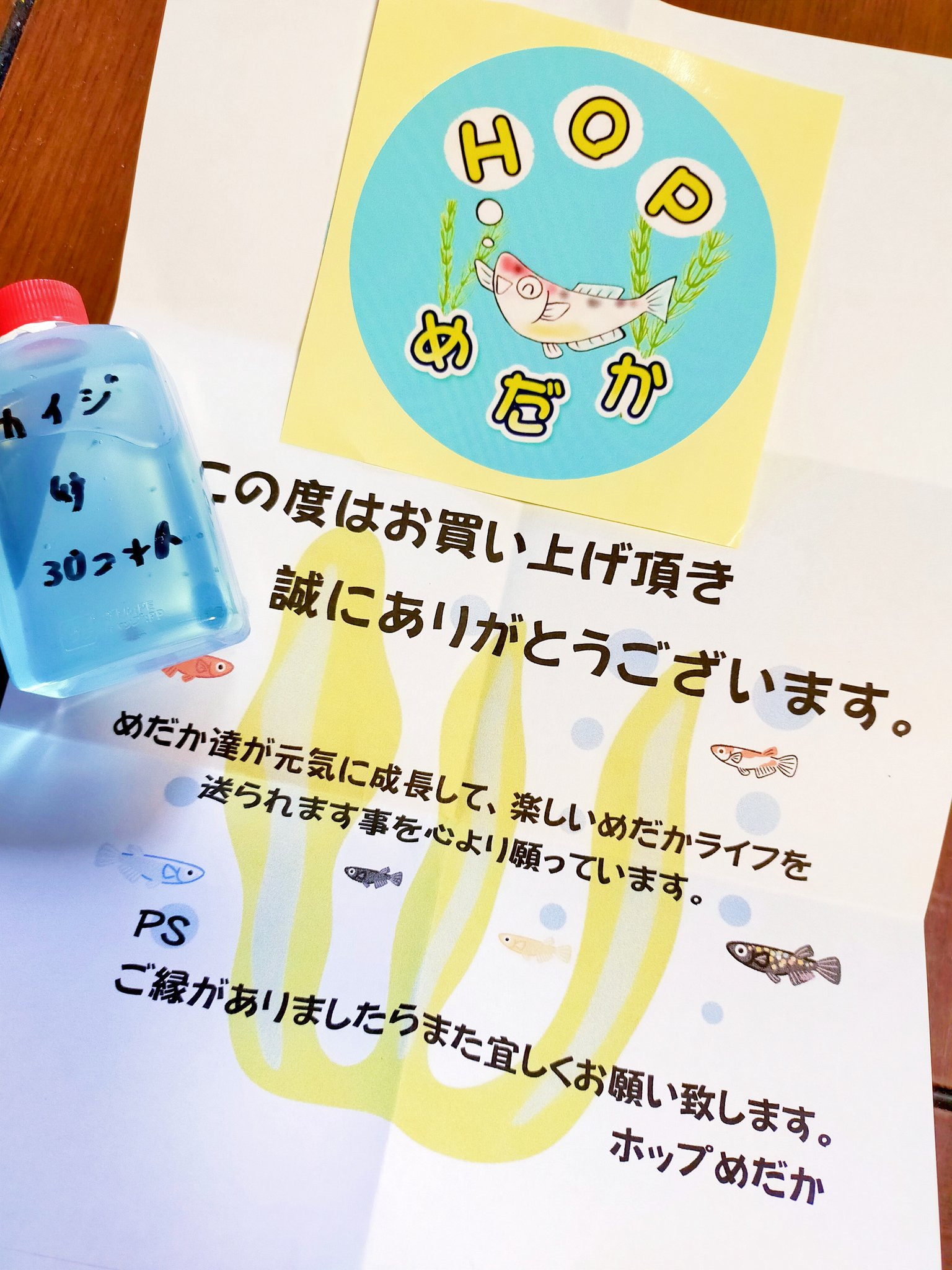 松さんメダカ Hm2vvwcrshxmkmi Twitter