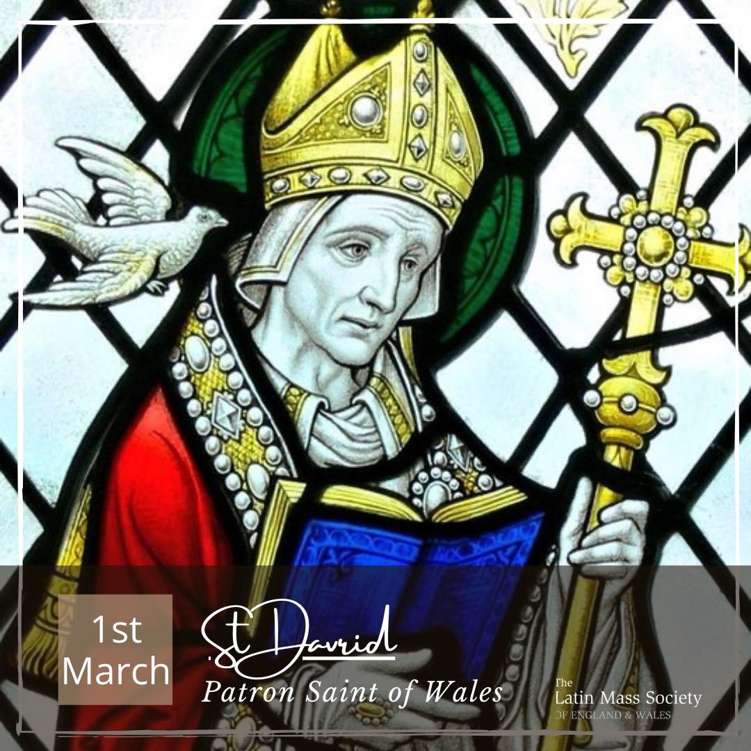 St david's. St david's. святой дэвид. St david's. святой дэвид покровитель уэльса.