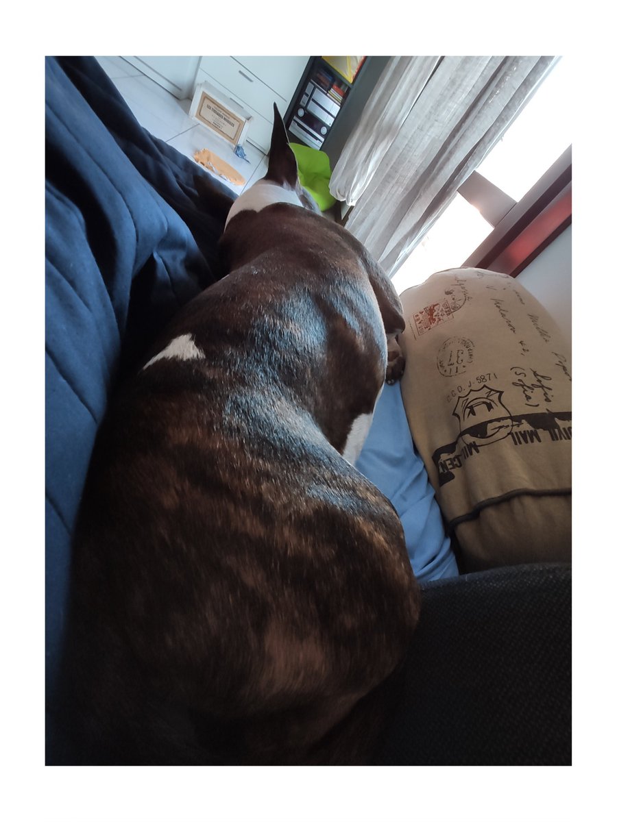 bluele's tweet photo. questa vita mi distrugge! https://t.co/rHWqA0bzkx